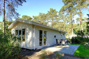 4 persoons chalet op vakantiepark de Zanding in Otterlo