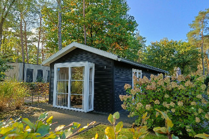 003 6 persoons chalet op vakantiepark de Zandig op de Veluwe