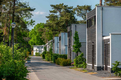 009 6 persoons vakantiehuis met dakterras en buitenhaard op een vakantiepark op de Veluwe