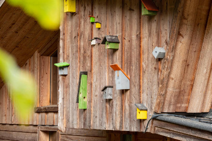 009 Houten chalet voor 8 personen in bosrijke omgeving