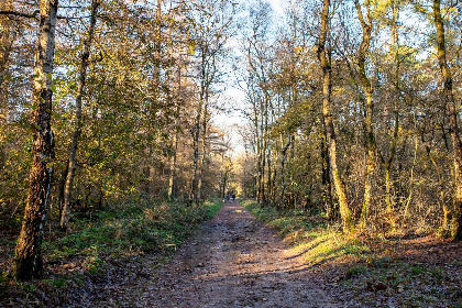 033 Eefs Huusje