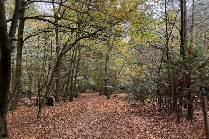 015 Gezellig chalet voor 2 personen op Camping Boslust nabij het bos in Putten, Gelderland