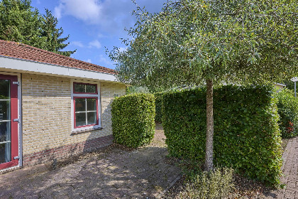 041 Heidepracht