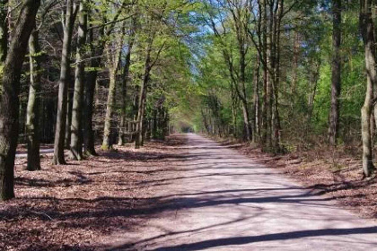 013 Mooie 2 persoons vakantiewoning gelegen in de bossen op de Veluwe