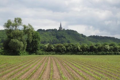 010 Spijk vakantiehuis