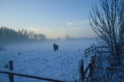 019 Spijk vakantiehuis