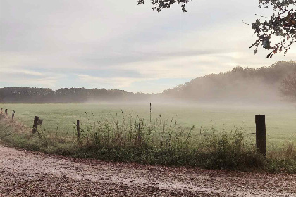 013 4 persoons Tiny House op vakantiepark Uddelermeer op de Veluwe