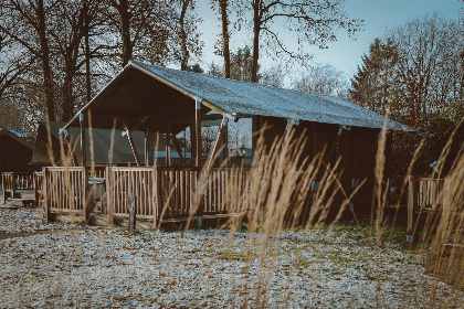 011 2   4 persoons Tiny Safari House