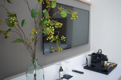 006 4 persoons Luxe Hotelkamer