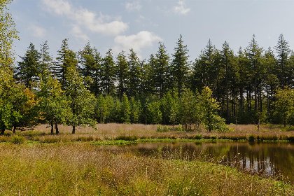 009 Eco Boslodge Jacuzzi | 5 Pers