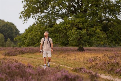 013 Eco Boslodge Jacuzzi | 5 Pers