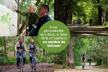 015 Eco Boslodge Jacuzzi | 5 Pers