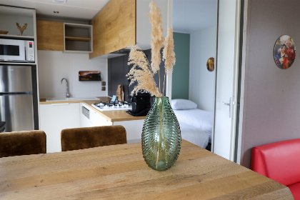 003 Familielodge | 4 personen