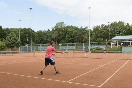 026 Luxe 4 persoons vakantiehuis nabij Voorthuizen op de Veluwe