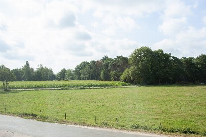010 Luxe Familiekamer | 4 personen