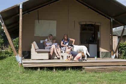 Nederland, Gelderland, Voorthuizen