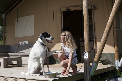 001 Luxe Safaritent | 6 Personen