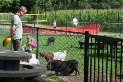 026 Mooi 12 persoons groepsaccommodatie nabij Voorthuizen op de Veluwe