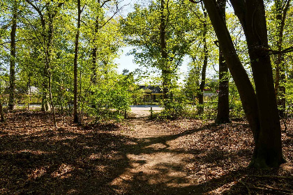 011 Schitterend 8 persoons landhuis met prive sauna op de Veluwe