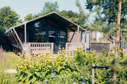 Nederland, Gelderland, Voorthuizen