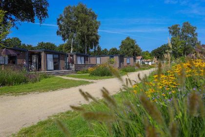 015 Twee luxe 6 persoons villa's naast elkaar en met sauna op de Veluwe