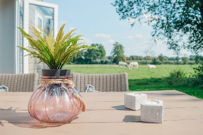 010 Veluwelodge | 4 personen