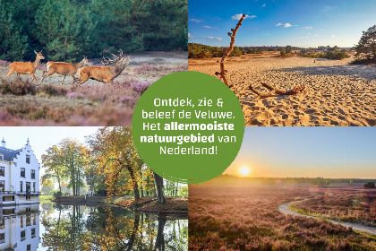 028 Villa Vogelveld Vrijstaand | 6 Pers