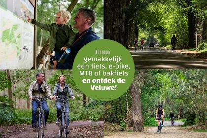 030 Villa Vogelveld Vrijstaand | 6 Pers