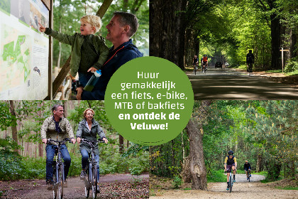 033 Zand Lodge | 4 Pers