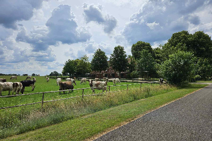 025 Ruime 16 persoons groepsaccommodatie landelijk gelegen in Vragender, de Achterhoek