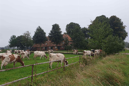 032 Ruime 16 persoons groepsaccommodatie landelijk gelegen in Vragender, de Achterhoek