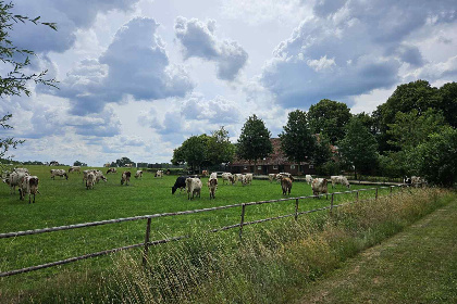 033 Ruime 16 persoons groepsaccommodatie landelijk gelegen in Vragender, de Achterhoek