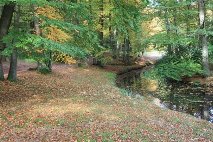 020 3 persoons vakantiehuis op Recreatiepark de Wielerbaan