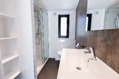 006 Berken Lodge Eco 4 personen met Hottub en Sauna
