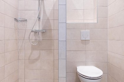 026 Boerderij Villa Wellness | 12 personen