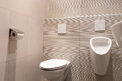 037 Boerderij Villa Wellness | 12 personen