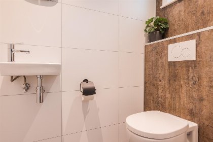 012 Bos Bungalow Eco 6 personen met Hottub en Sauna