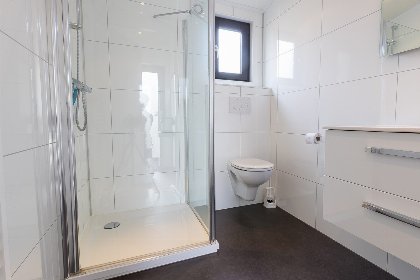 007 Bos Lodge 55 6 personen met Hottub