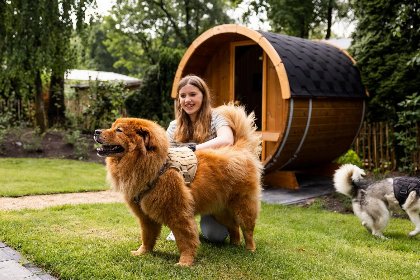 008 Bos Lodge 55 Eco 4 personen met Hottub