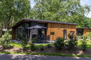 Bos Lodge 55 Eco 4 personen