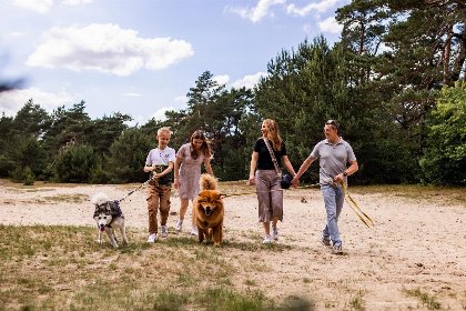 009 Heide Lodge Eco 5 personen
