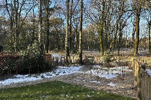 Natuur Lodge Eco 4 personen met Hottub en Sauna