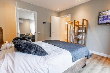029 Veluwe Villa met Binnenzwembad 