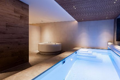017 Veluwe Villa Wellness | 12 personen