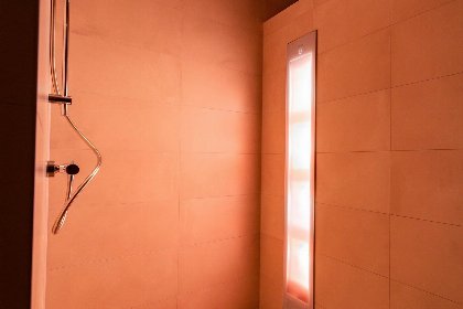 020 Veluwe Villa Wellness | 12 personen
