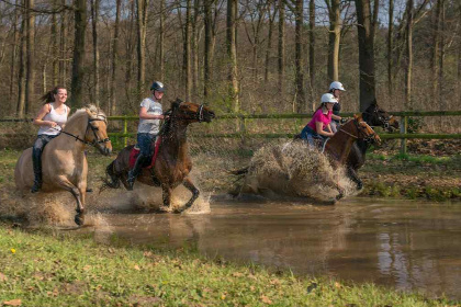 009 Comfortabel 4 persoons vakantie appartement in de Gelderse Achterhoek