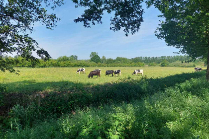 028 Gezellig vakantiehuis voor 4 personen met ruime tuin op vakantiepark Wighenerhorst