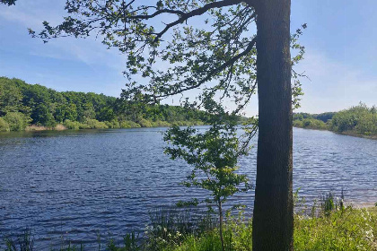 022 gezellige bungalow voor 8 personen nabij het bos op vakantiepark Wighenerhorst