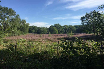 021 Knusse blokhut voor 6 personen op vakantiepark Wighenerhorst in Gelderland