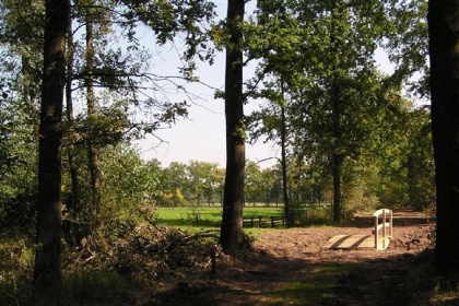 019 6 persoons geschakelde woning met sauna en tuin midden in de bossen in Winterswijk